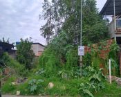 Lote de terreno  - Piabeta - 